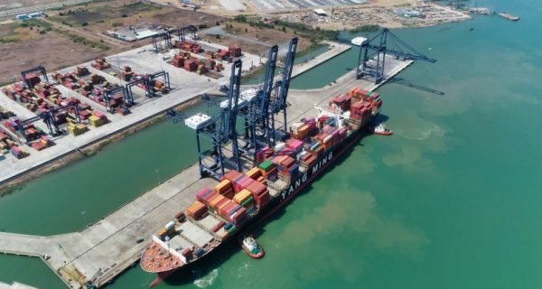 UNCTAD: Hoạt động thương mại hàng hải suy giảm trong năm 2020