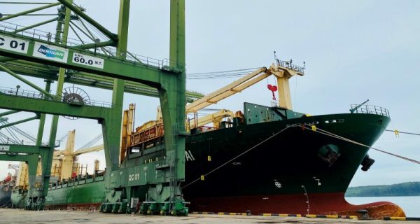 DSV sticks with ship chartering to bring Vietnamese goods to US