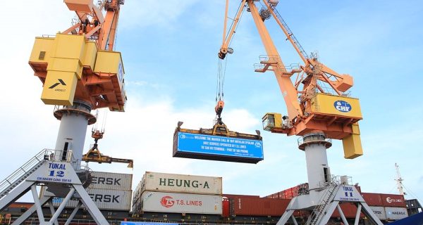 Hãng tàu TS Lines liên kết với hãng tàu Maersk khai thác tuyến dịch vụ NV2 tại Cảng Tân Vũ