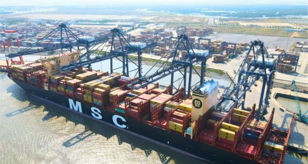 Over 170,000 DWT container ship docks at Bà Rịa – Vũng Tàu’s deep-water port