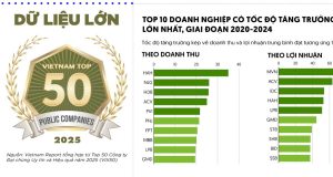 Dữ liệu lớn về Top 50 Công ty Đại chúng uy tín và hiệu quả năm 2025 (VIX50)