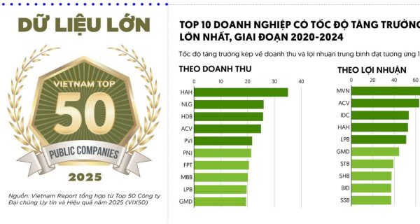 Dữ liệu lớn về Top 50 Công ty Đại chúng uy tín và hiệu quả năm 2025 (VIX50)